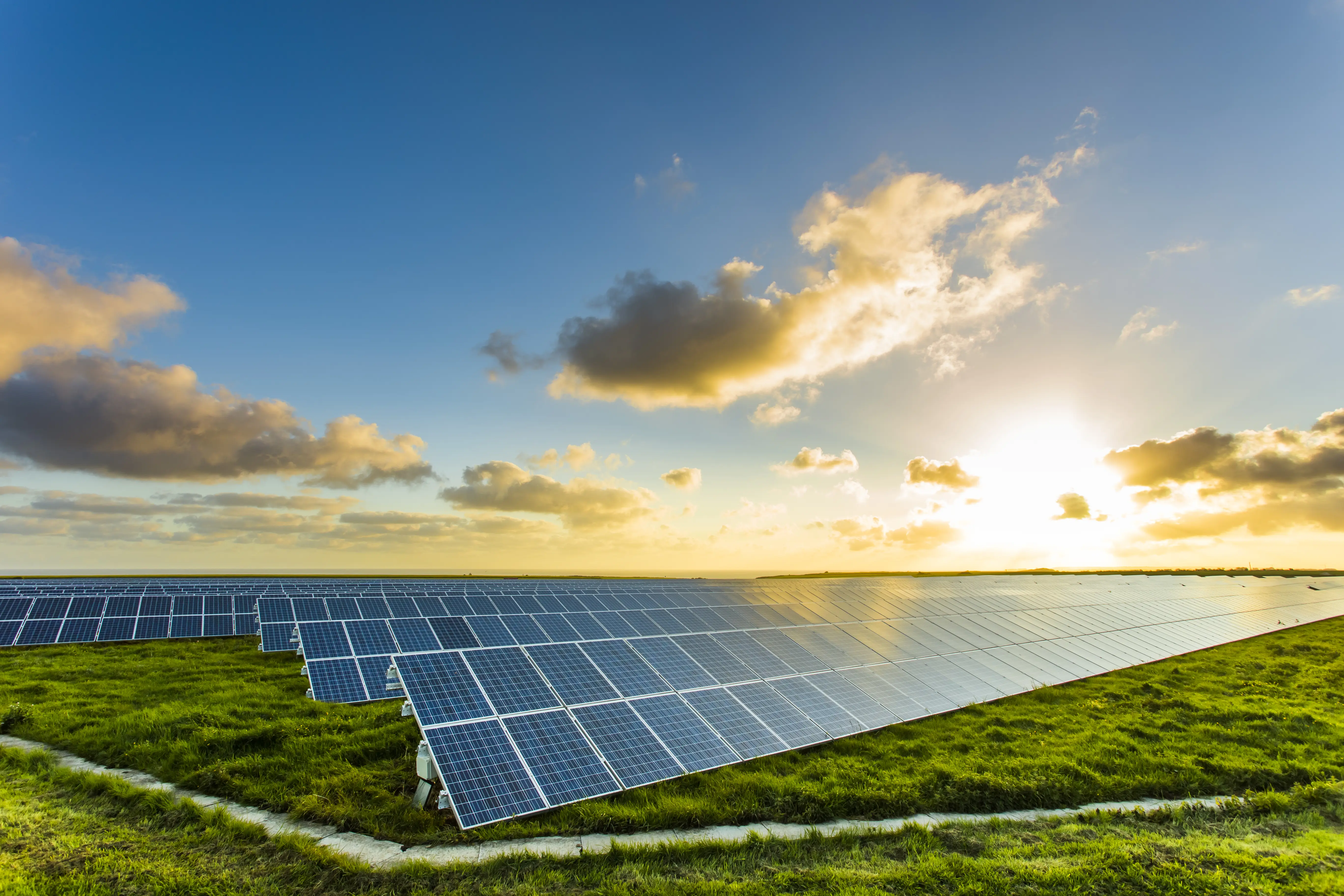 OMNI Features｜Google Buys Stake in Taiwan Solar Power Firm Owned by BlackRock．South Korea's Largest Jeju Hallim Offshore Wind Project Halted Due to Lack of Cultural Heritage Investigation